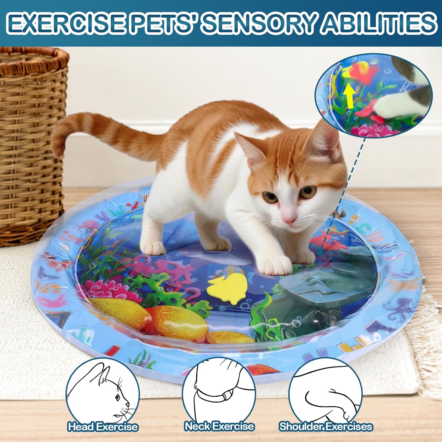 Cat Toys