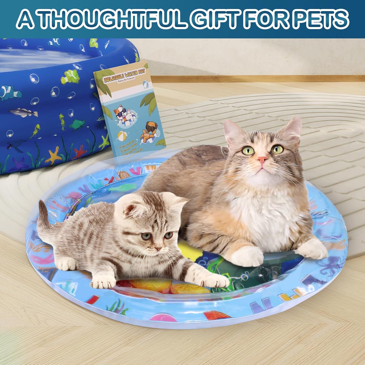 Cat Toys