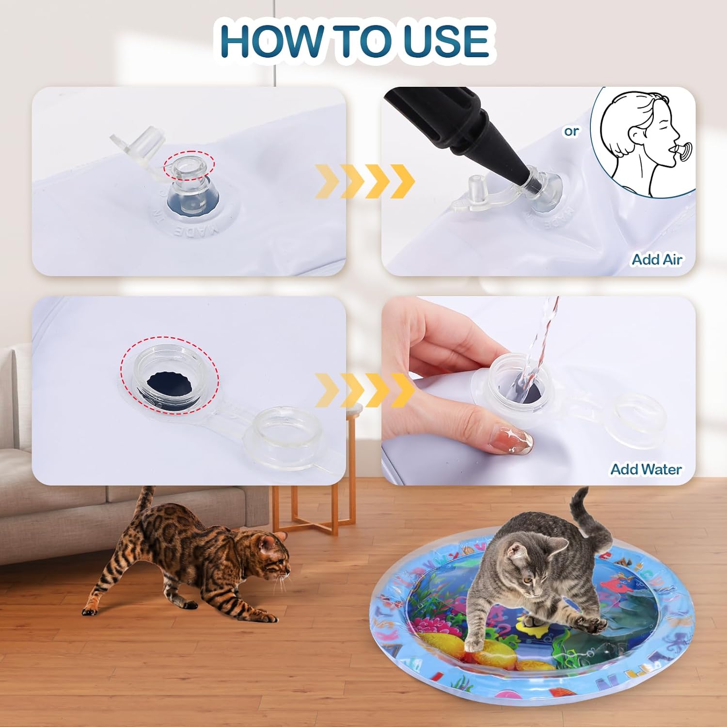 Cat Toys